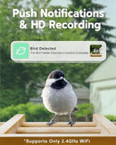 Bird Feeder with Camera, Smart Bird Feeder for Outdoors, Wild Birds Feeders with Solar Panel Bamboo Birds House Camera for Birdlovers, AI Auto Capture Birds & Real-time Notification (Gable) by CozyNest Decor