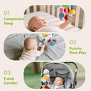 hahaland Baby Toys 0-6 Months - Baby Sensory Toys 0-3-6 Months Car Seat Toy Hanging - Musical Animals with Pull String Rattle Teether Crinkle Mirror, Crib Stroller Toy Tummy Time Babies Girl Boy Gifts by TinyTreasures Baby Boutique