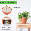 5 lbs White Pebbles for Vases, 3/8" Small Plant Rocks for Pots Indoor, Decorative Pea Gravel for Succulents, Bamboo, Terrarium, Landscape, Garden by GreenHaven Gardens
