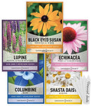 Gardeners Basics, Perennial Flower Seeds for Planting Outdoors (5 Variety Pack) Lupine, Columbine, Echinacea Purple Coneflower, Black Eyed Susan, Shasta Daisy for Pollinators Wildflower Seed by GreenHaven Gardens