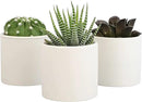 Plants for Pets Live Low Light House Plants in Ceramic Succulent Pots (3 Pack), Gasteria Succulent Plant and Cactus Plants Live with Potting Soil, Haworthia Succulents for Indoor Growing Home Décor by GreenHaven Gardens