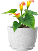 Plant Pots 12 inch, Plastic Planters with Drainage Holes and Saucers, Large Flower Pots for Indoor Outdoor Plants, Modern Decorative Pots for Garden House Plants, Speckled White by GreenHaven Gardens