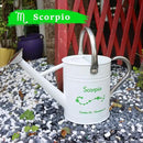 Metal Watering Can for Outdoor and Indoor Plants, Watering Can Decor, 1 Gallon (Scorpio) by GreenHaven Gardens