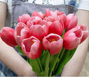 Buart Artificial Tulip in Bulk for Home Kitchen Wedding Bridal Bouquet,Fake Flowers for Mother's Day Easter Table Centerpieces Decorations(Large Size,Hot Pink,Real-Touch,12pcs) by CozyNest Decor
