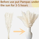 125 PCS Dried Pampas Grass Bouquet, Boho Table Decor, Bunny Tails Dried Flowers, Brown Pampas, White Pampas Grass for Weddings, Home Decor, Rustic Parties, and Baby Shower Decorations by CozyNest Decor