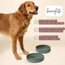The Slowdown Bowl Silicone Slow Feeder for Dogs & Puppies, Slow Eating, Modern Lick Mat Design, Reduces Gulping, Fits 2.5 Cups 9.5” Across x 1.5” Tall, Mealtime Challenge, Large-Spruce by CozyNest Decor