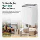 Greenvelly Portable Washing Machine, 16 Lbs Compact Mini Washer and Dryer Combo, Semi-automatic Twin Tub Washer with Drain Pump for Dorms, Apartments, RVs (Grey) by CozyNest Decor