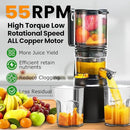 Cold Press Juicer,Slow Masticating Juicer Machines with 5.3" Large Feed Chute for Most Fruits and Vegetables,Easy to Clean Lemon Orange juicer with 250W Motor and High Juice Yield (Obsidian black) by CozyNest Decor