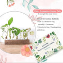 KAXYEW Desktop Glass Plant Propagation Station Test Tube Plant Terrarium in Wooden Stand for Hydroponic Plants Cutting Office Home Decoration by GreenHaven Gardens