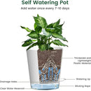 4 inch Self Watering Pots for Indoor Plants, 5 Pack Small Flower Plant Pots with Drainage Holes and Clear Reservoirs, Visible Water Level, Plastic Planters with Wicking Rope, White by CozyNest Decor