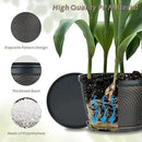 Quarut 4 Pack 6 Inch Flower Pots for Outdoor Indoor, Plastic Plant Pots with Drainage Hole & Saucer, Lightweight Small Flower Pot, Circle Pattern Planters for Garden House planters（Black Copper） by CozyNest Decor