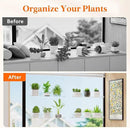 Lifewit Window Plant Floating Shelves 15 inch, 3 Pack Acrylic Suction Cup Shelf, Window Sill Extender for Indoor Succulent Plants, Micro Greens, Seed Starter Pots, Herb Planters by GreenHaven Gardens