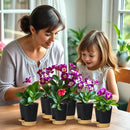 12 Pack 4 Inch Self Watering Plant Pots with Drainage and Saucers，Plastic Flower Pots for Indoor and Outdoor Plants, Nursery Planters for Houseplants and Herbs Black Brown, 4 inch 12pcs by GreenHaven Gardens