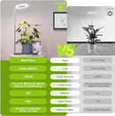 LORDEM Grow Light, LED Plant Light for Indoor Plants Growing, Full Spectrum Desk Growth Lamp with Automatic Timer for 4H/8H/12H, 4 Dimmable Levels, Height Adjustable 9.8"-30.6", Pack of 2 by GreenHaven Gardens