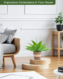 Velener Fake Agave with Rattan Pot, Artificial Plant Outdoor Agave - Fake Sucuulents Plants for Indoor and Outdoor Decor(16 Inch) by GreenHaven Gardens