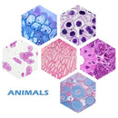 Prolee 200 Packs Microscope Slides, 100 Plants & 100 Animal Tissues Includes Labels and Case for Biological Science Education by TinyTreasures Baby Boutique
