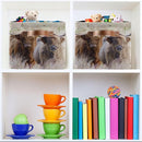 Highland Cows Storage Basket Cube Storage Bins Organizer Bag Collapsible Closet Shelf Baskets with handle for Baby Cloth Pet Toy Book 14.2×10.2×8.3 IN by TinyTreasures Baby Boutique