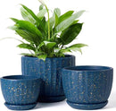 4/5/6 Inches Ceramic Plant Pots with Drainage Holes and Saucers, Round Flower Pots for Indoor Plant, Modern Flower Planters Set of 3 (Blue with Dot-Big Size) by CozyNest Decor