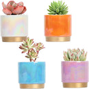 Gepege Succulent Pots for Plants, Succulent Planter with Drainage Holes, Ceramic Pot for Indoor Plant, Set of 4 by GreenHaven Gardens