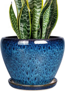8 Inch Ceramic Plant Pot, Ceramic Planter Pot for Indoor Outdoor Plants, Round Flower Pot with Drainage Hole and Saucer, Blue by GreenHaven Gardens