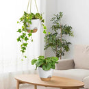 ZMTECH 6.5 Inch Hanging Planters for Indoor Outdoor Plants, 2 Pack Self Watering Hanging Plant Pots with Drainage Holes and Removable Saucer, Plastic Flower Hanging Pots with Watering Lip (White) by GreenHaven Gardens