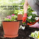 Plastic Flower Pots, 5 Pack 6 inch Indoor Plant Pots Planters for Outdoor Plants Flowers Garden Patio Home Nursery Decor Gifts,Large Succulent Pots with Drainage Tray Saucer & Hole Terracotta by GreenHaven Gardens