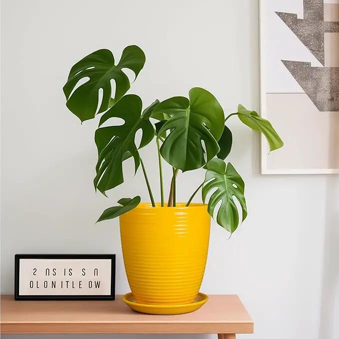 Ceramic Plant Pot - 8 Inch Planter Pot with Drainage Hole and Saucer Round Planter for Indoor Outdoor Plants Flower Pot for Home Patio Garden Office Yellow, photo 2 of 7