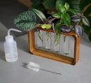 Source & Plot - Plant Propagation Station - Acacia Wood Stand 4 Glass Test Tube Hydroponic Tabletop Rooting Terrarium Planter Rack Home and Office Decor - Last Batch by GreenHaven Gardens