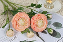 IPOPU 4PCS Real Touch Ranunculus Artificial Flowers Faux Ranunculus Flowers for Vases Real Look Silk Peonies Fake Peony Flowers for Home Indoor Wedding Centerpieces for Table Decorations (Champagne) by CozyNest Decor