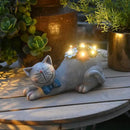 Cat Garden Figurines Outdoor Decor Solar Statue with LED Lights for Patio Lawn Yard Art Decoration Housewarming Garden Gift by GreenHaven Gardens