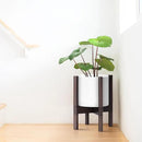 D'vine Dev Planter Pot with Stand - 8 Inch Plastic Cylinder Flower Pot with Wood Planter Holder for Indoor, Matte White Pot + Walnut Color Stand, 55-C-I-1 by GreenHaven Gardens