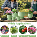Plant Pots with Drainage Holes and Tray Saucer - 7.5/6.5/5.5/4.9/4.2/3.5 Inches Flower Pots - 6 Pack Thick and Sturdy Planters for Indoor Plants Such As Orchid, Succulent and Herbs, Green by GreenHaven Gardens