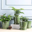 Plant Pots Indoor –5 inch Ceramic Flower Pot with Drainage Hole and Ceramic Tray - Gardening Home Desktop Office Windowsill Decoration Gift, Set of 4-Plants NOT Included (Patina) by GreenHaven Gardens