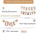 Monthly Photo Banner First Birthday Photo Banner for Newborn to 12 Months First Birth Decorations with Birthday Cake Topper & High Chair Banner by TinyTreasures Baby Boutique