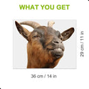 Smiling Goat Window Stickers Decor Funny Wall Stickers Peel and Stick Cute Goat Animals Wall Decals Removable Funny Goat Wall Window Decor for Farmhouse Kitchen Door Closet by CozyNest Decor
