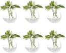 Pack of 6 Glass Planters Wall Hanging Planters Round Glass Plant Pots Hanging Air Plant Pots Flower Vase Air Plant Terrariums Wall Hanging Plant Container by GreenHaven Gardens