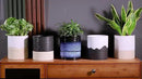 Nihow Self Watering Plant Pot: 6 Inch Ceramic Planter with Drainage Hole & Water Storage Plus for Indoor & Outdoor Plants - Cylinder Round Flower Pot for Succulent/Herbs/Violets - White & Brown by CozyNest Decor