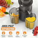 Slow Cold Press Juicer Machines: Masticating Cold Pressed Compact Juicer For Vegetable And Fruit Easy To Clean, Silver Grey by CozyNest Decor