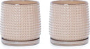 D'vine Dev Set of 2 Ceramic Plants Pots, 6 Inch Beaded Stoneware Flower Pot for Plants with Drainage Hole and Saucer, Light Brown, 27-E-X-4 by GreenHaven Gardens
