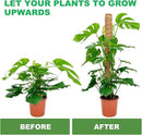 Moss Pole, 4 Pack 15Inch Monstera Plant Support Stackable Moss Poles for Plants, Moss Sticks with 15pcs Labels and 78in Garden Ties,Monstera Plant Stake for Climbing Plants,Can Stacked Up to 42” by GreenHaven Gardens