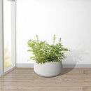 Kante 19.6" Dia Round Concrete Planter, Outdoor Indoor Garden Plant Pots with Drainage Hole and Rubber Plug, Modern Curvaceous Design, Pure White by GreenHaven Gardens