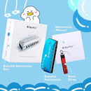 BabyFat 7 Hole Blues Mini Harmonica Set,Diatonic Harmonica with free lanyards,Gifts for Kids and Beginners,Easy-playing Musical Instrument(A Key） by TinyTreasures Baby Boutique