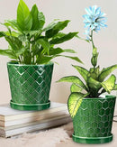 EFISPSS 6 Inch Plant Pot,Ceramic Pots for Plants with Drainage,Flower Pots Indoor Pots for Plants, Modern Flower Pots for Home and Office,Set of 2 - Patina by GreenHaven Gardens