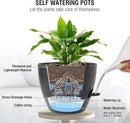 10 inch Self Watering Hanging Planters, 2 Pack Hanging Baskets for Indoor Outdoor Plants, Hanging Flower Pots with Drainage Holes & 2 Kinds of Plant Hangers for Garden Home Decor, Black by CozyNest Decor