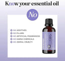 Unwind Aromatherapy Essential Oil Blend - Calming Essential Oils for Diffusers for Home Travel and Baths with Invigorating Pure Bergamot Patchouli and Citrus Essential Oils for Stress Support by CozyNest Decor