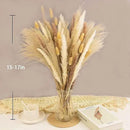 65PCS Pampas Grass Decor, Including pompas Floral, Reed Dried Grass and Bunny Tails Dried Flowers, Natural Dried Pampas Grass Bouquet for Boho Decor Wedding, Home Decoration by CozyNest Decor