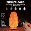 Himalayan Glow Salt Lamp with Dimmer Switch 5-7 lbs by CozyNest Decor