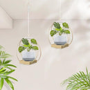 Hanging Planters for Indoor Plants, Plant Hanger with Sturdy Wood Base,Modern Boho Macrame Plant Hanger,Wall Ceiling Window Stands(Plants/Pots Not Included) by GreenHaven Gardens