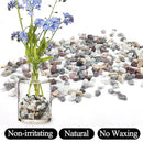 20lbs Mixed Color Pebbles for Landscaping, 3/8inch Small Rocks for Garden Succulent Cactus Planters, Natural Polished Pebbles, River Rocks for Plants, Vases by GreenHaven Gardens