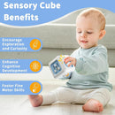 Busy Cube Toys for 1 Year Old, Montessori for 1+ Year Old, Travel Toys for Toddlers 1-3, Learning Fine Motor Skills| Birthday Gifts for 12 Months + by TinyTreasures Baby Boutique